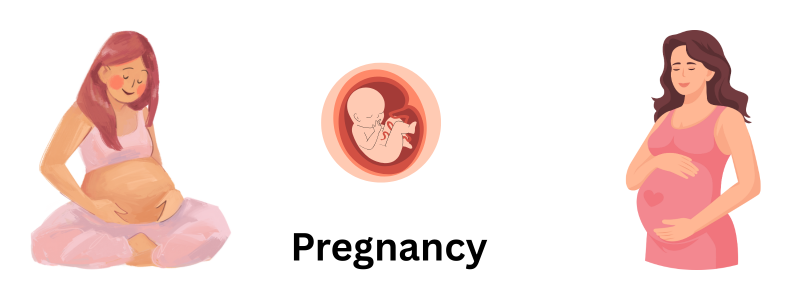 Pregnancy